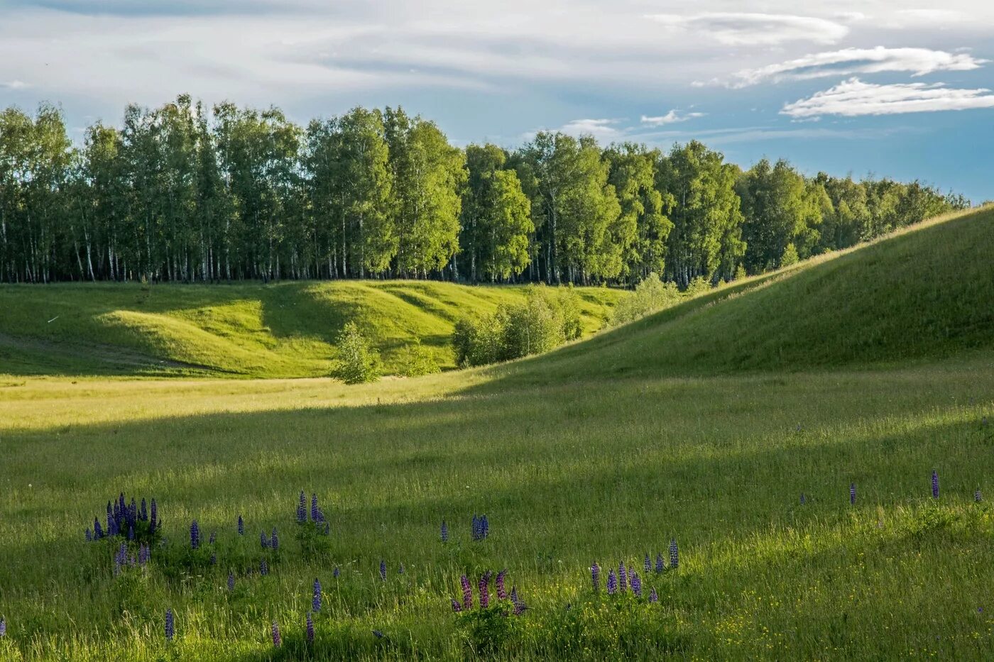 Каким будет лето татарстане