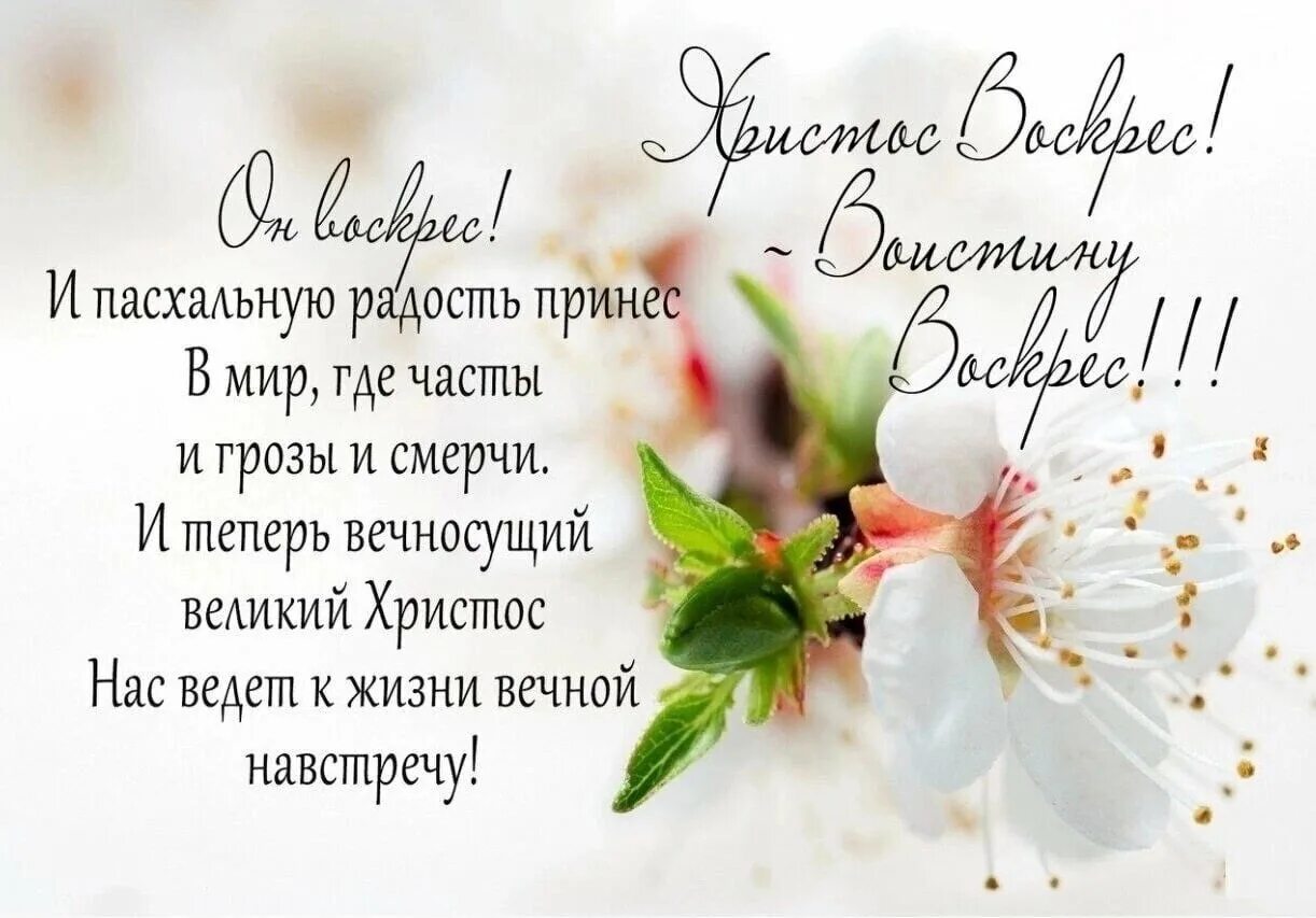 Христианские пожелания на пасху. Пасхальные поздравления христианские. Стихи на пасху христианские. Стихи на пасху для детей. Христианские поздравления с пасхой в стихах.