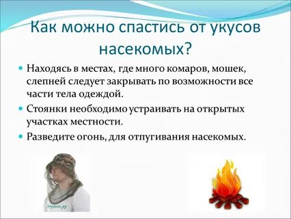 Темы обж 6 класс