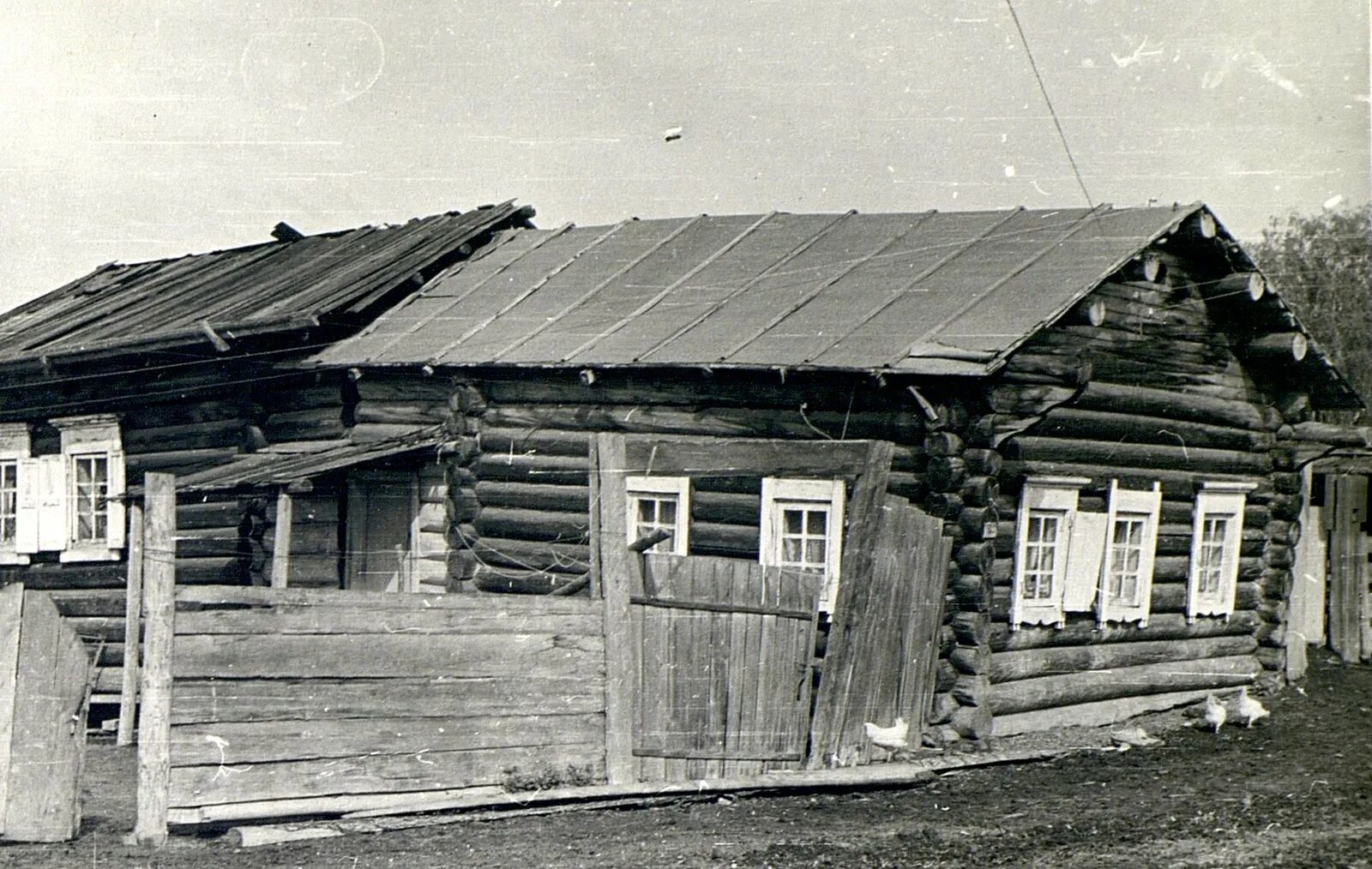 5 села. Пятистенный дом старообрядцев. Пятистенный кержацкий дом. Пятистенный дом в деревне Сростки. Самое развитое село в Сибири.