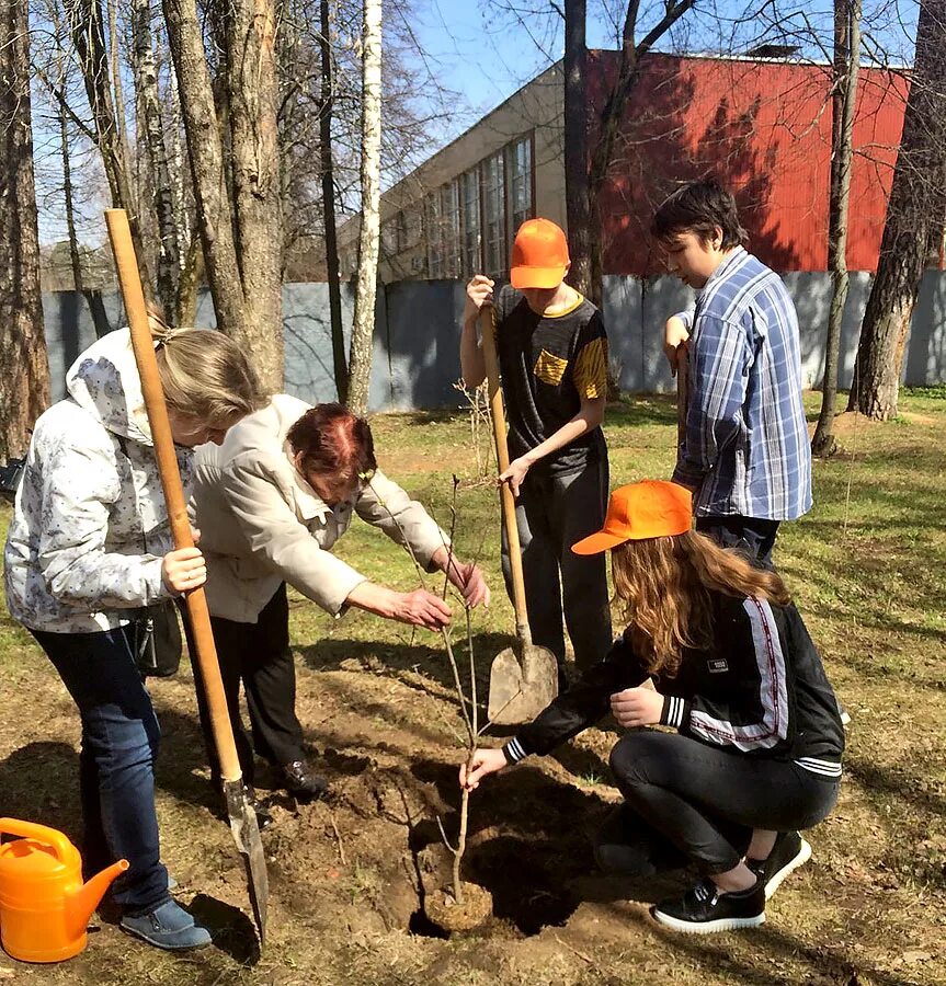 Осташков сергей петрович директор российской. Осташков сергей петрович королев. Директор школы королев. Директор школы 5 королев. Королев директор школы.