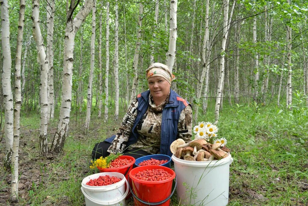 девушка с корзиной яблок. девушка с ягодами. сбор ягод. женщина собирает ягоды. ягодные плантации.