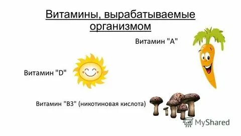 Витамины вырабатываются