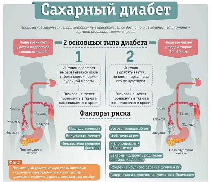 Два типа сахарного диабета. Сахарный диабет отличия. отличие сахарного диабета 1 и 2. отличие сахарного диабета 1 типа от 2. сахарный диабет 1 типа.