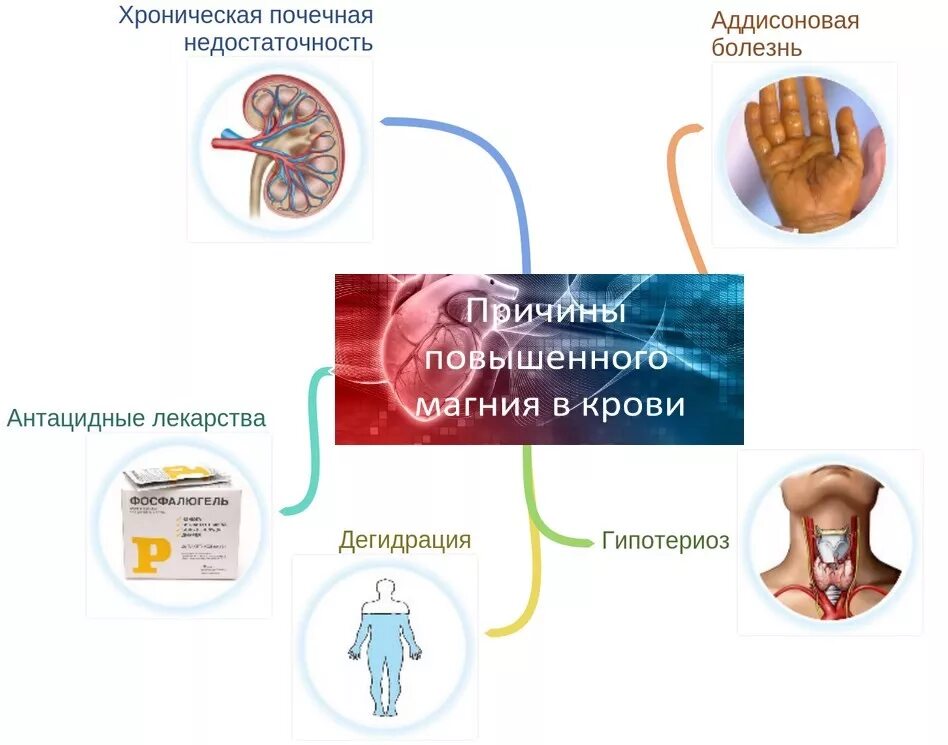 Повышенный уровень магния. Магний в крови. Норма магния в крови. Магний низкий показатель крови. Магний норматив крови.