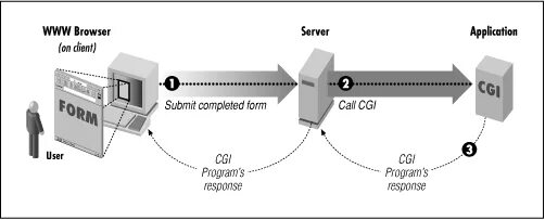 Cgi скрипты. Cgi сервер. Cgi программирование. Универсальный Интерфейс шлюзов cgi. Cgi Интерфейс.