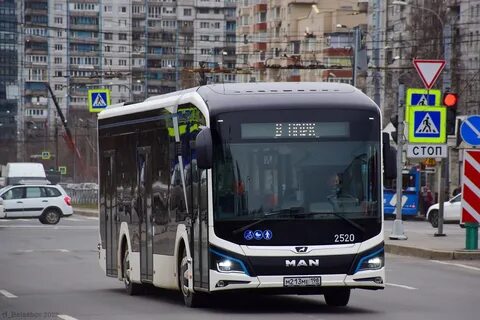 Автобус 95 спб