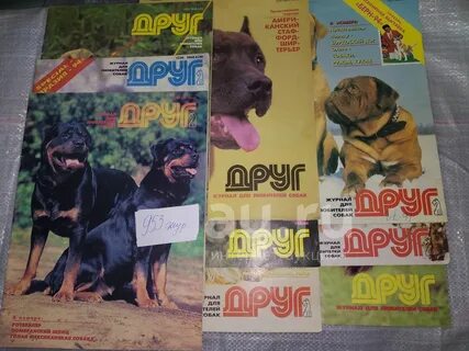 Журнал друг