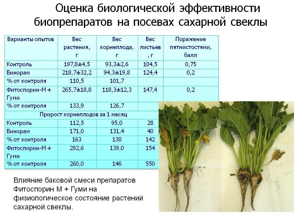 Физиологическое состояние растений