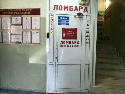 Ломбард кот