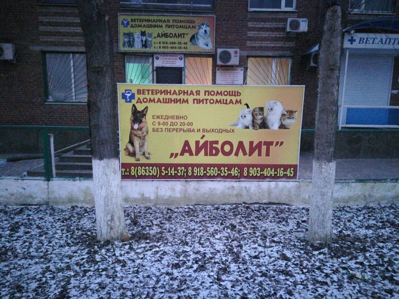 улица шолохова аксай. ветеринар аксай. ветеринарные аксай. ветеринарная клиника аксай. ветеринарная клиника аксай.