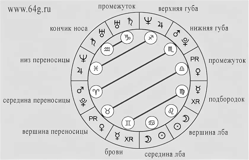 Антисы в хорарной астрологии. Антис в астрологии. Аспекты в астрологии. Кто такие антисы. Кто такие антисы.