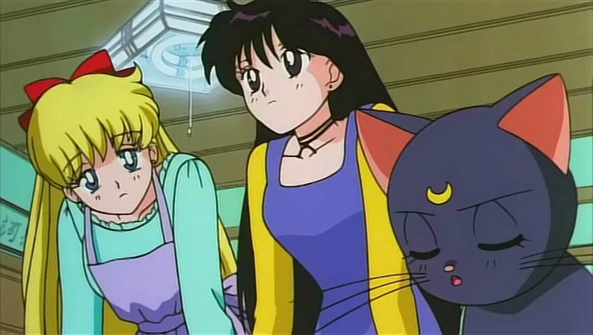 красавица-воин сейлор мун эр мультфильм 1993. красавица-воин сейлор мун сериал нептун. красавица-воин сейлор мун эр: опасные цветы мультфильм 1993. сейлормун 1992 рей. фиоре сейлормун.