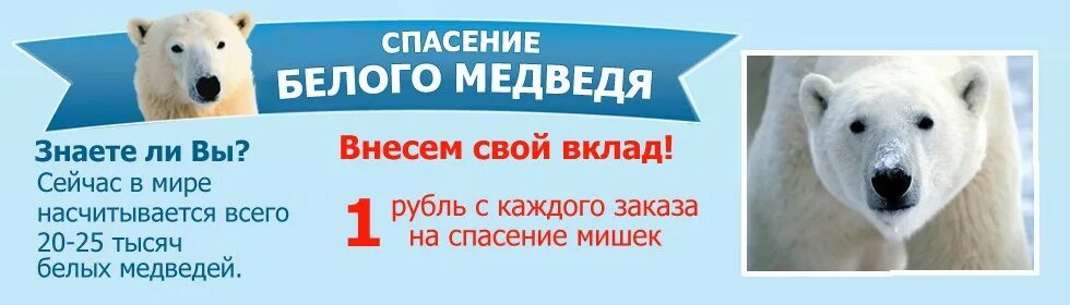 Сиб медведь. Спасите белого медвед. Спасение белого медведя. День белого медведя. Спасли белого медведя.