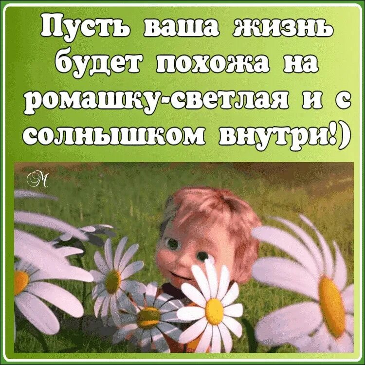 Жизнь похожа. Пусть жизнь будет похожа на ромашку. Пусть в вашей жизни. Пусть в вашей жизни будет. Пусть жизнь похожа на ромашку светлая и с солнышком.