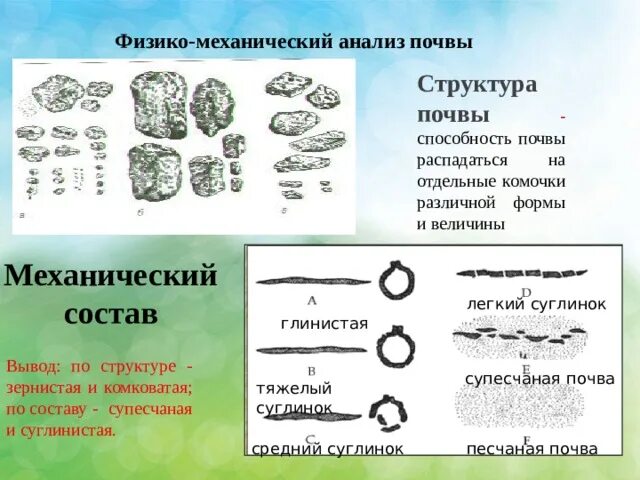 Какая почва по механическому составу содержит