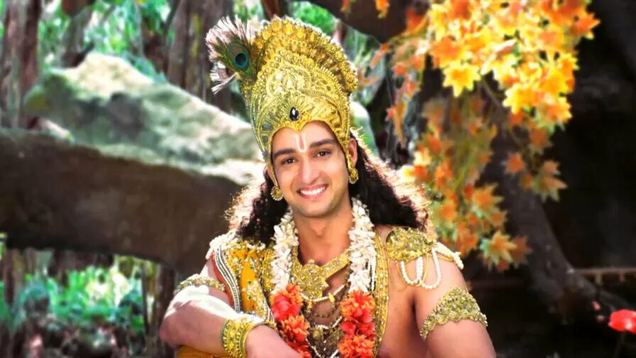 махабхарата кришна