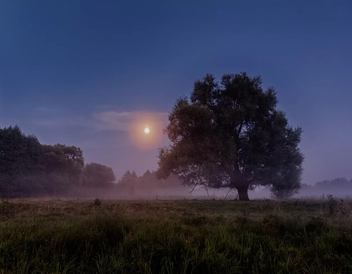 Пейзажи ночью картинки. Ночной пейзаж. Природа Луны. Природа России ночью. Пейзажи природы ночью.