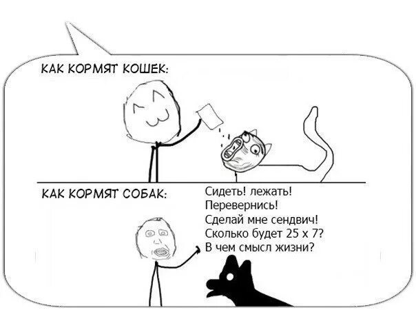 Мемы про котов и собак Teletubbies Teletubbies, Best funny pictures, Funny