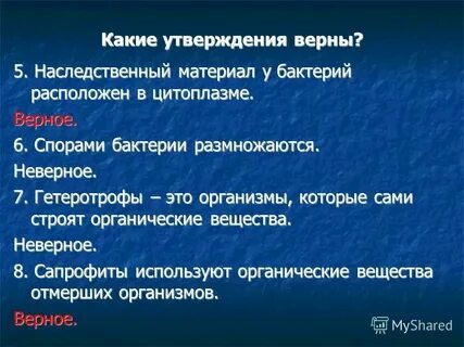Наследственный материал бактерий представлен