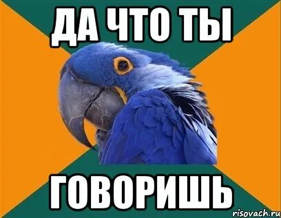 Скажи отдадим