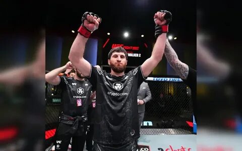 Ankalaev walker 2