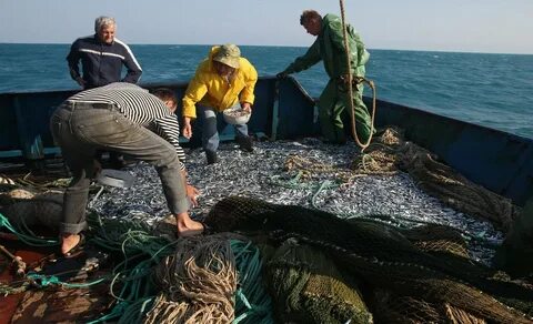 Деятельность черного моря