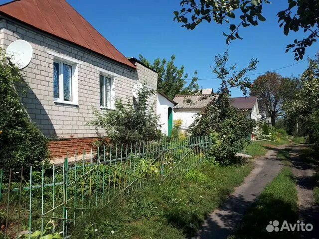 Посёлок черемисиново. Курская область, город льгов, улица пржевальского 10. Льгов курская область недвижимость. Льгов. Продается участок во льгове.