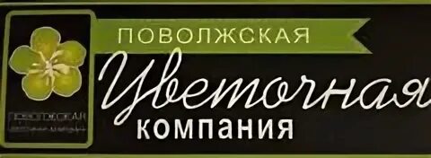 Ганичкин Тольятти. Поволжская Цветочная компания. Цветочная компания Тольятти Борковская. Тольятти Поволжская Цветочная компания фото.