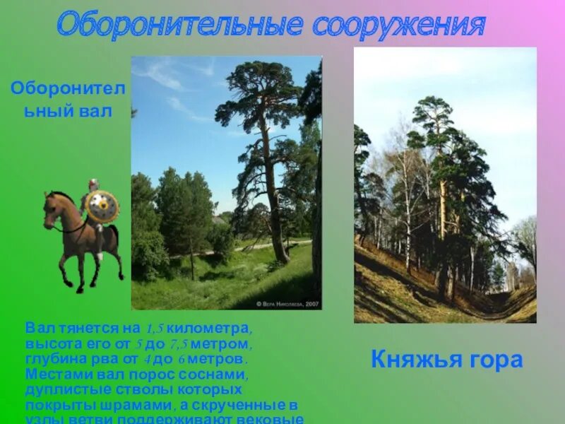 Растительность города Городца. Природные особенности Нижегородского края. Презентация по истории Нижегородского края 6 класс. Текст про город Мастеров Городец. Нижегородский край презентация