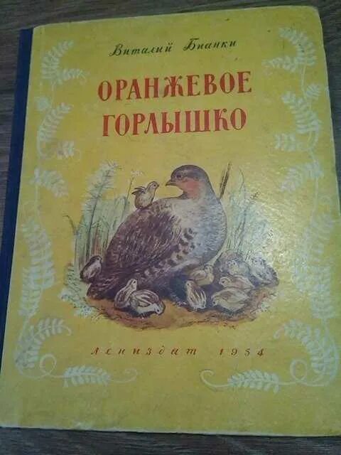 Бианки в. Оранжевое горлышко мурзук. Виталия бианки оранжевое горлышко. Бианки оранжевое горлышко книга. Рассказ бианки оранжевое горлышко.
