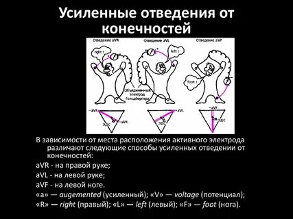 Система сбора и отведения