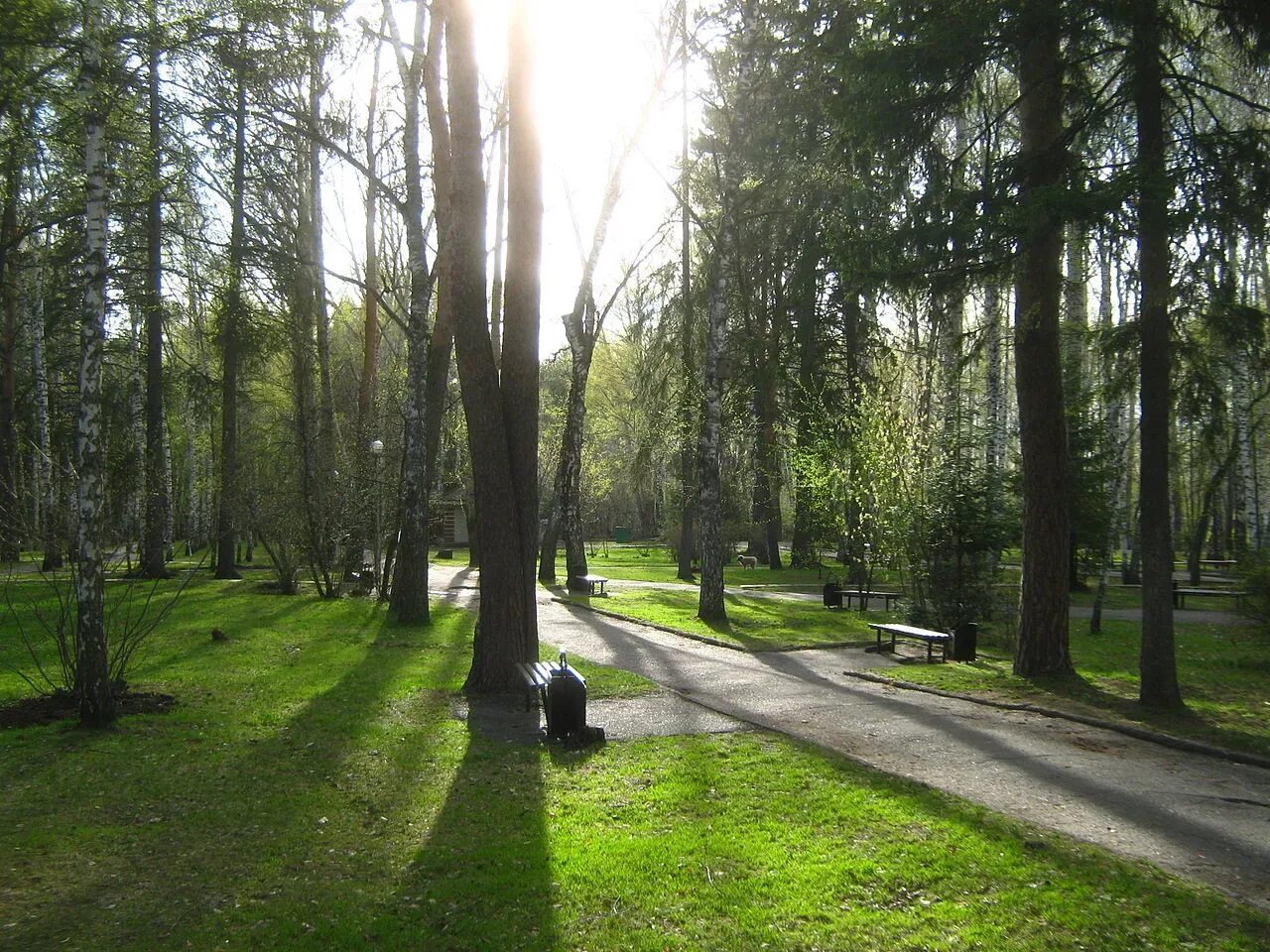 Лагерный парк томск. Лагерный сад томск. Лагерный сад набережная томск. Лагерный сад томск. Томск лагерный сад томск фото.