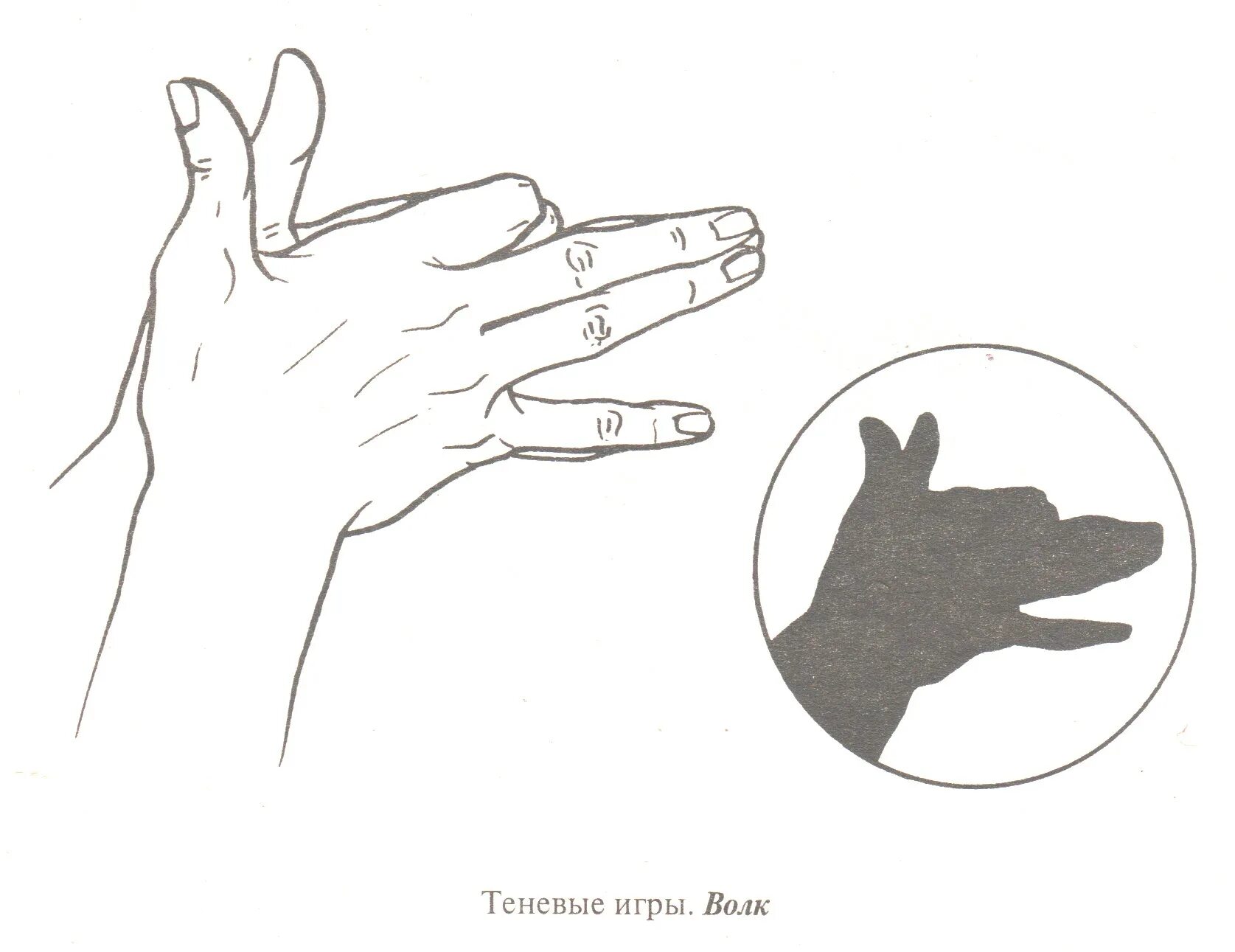 Заяц пальцами. Упражнение для пальцев заяц,. Заяц из пальцев рук. Упражнение пальцами зайчик.