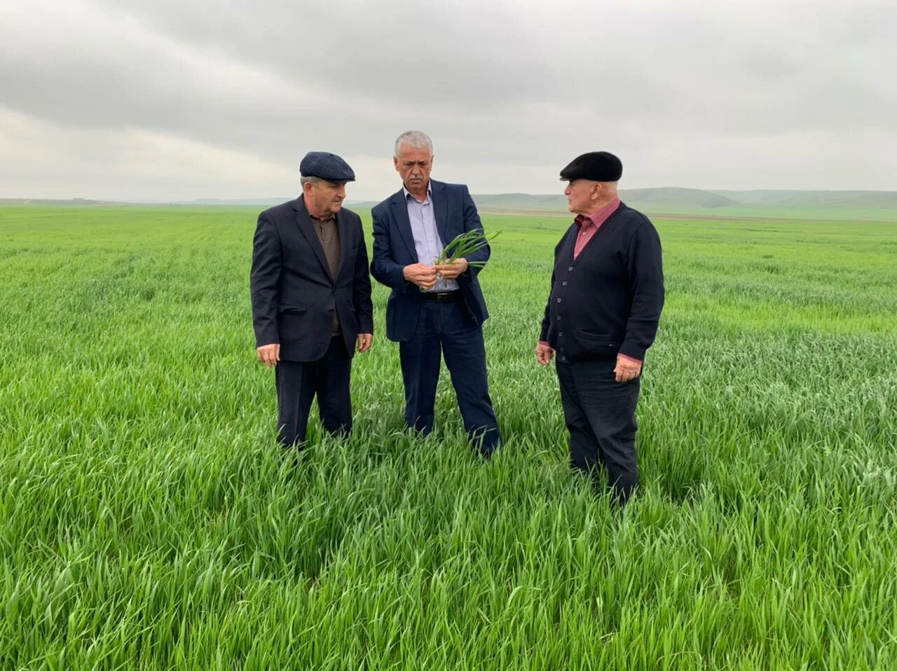 Сх предприятие. Телефон управления сельского хозяйства. Глава крестьянского фермерского хозяйства омск. Телефон управления сельского хозяйства. Каякент, база "связист".