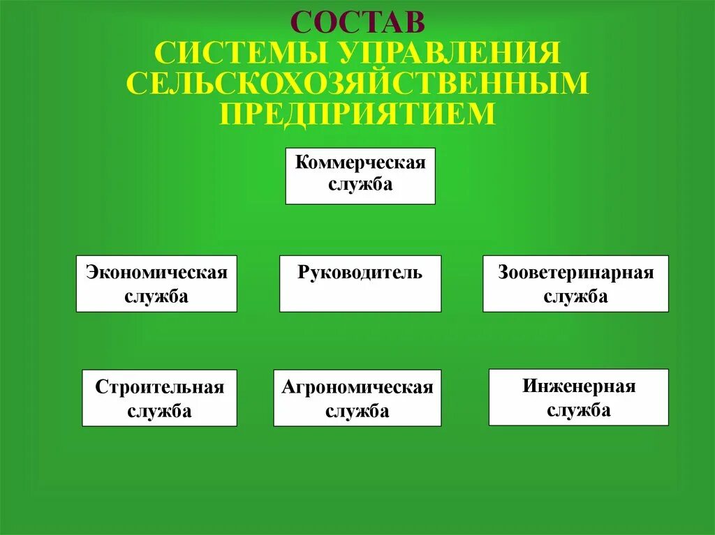 Структура управления сельхозпредприятием. Структура Агрономической службы. Схема сельскохозяйственного предприятия. Структура управления сельскохозяйственного предприятия.