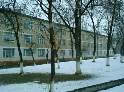 43 школа фото