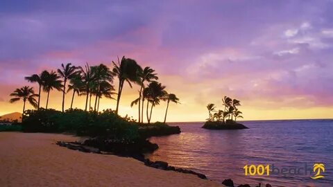 Sunset beach отзывы