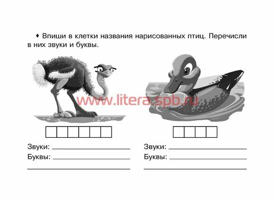 Енот количество звуков. Звуковой анализ слова стул. Впиши в клеточки названия птиц. Ушакова тренировочные упражнения фонетический разбор слова 2-4. Звуковой анализ слов 1 класс слово стул.