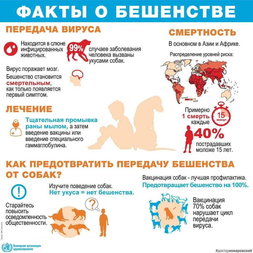 Бешенство памятка. Симптомы бешенства у человека. Профилактика проявления бешенства. Почему после прививки от бешенства нельзя