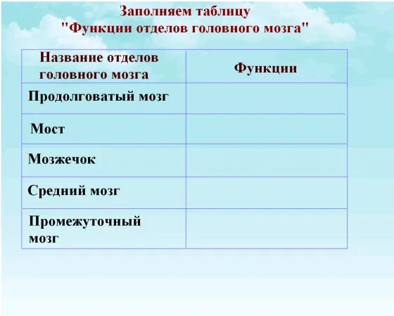 Таблица строение и функции отделов головного мозга человека. Отдел головного мозга строение функции таблица 8 класс. Таблица по биологии 8 класс отделы головного мозга центры и их функции. Таблица по биологии 8 класс головной мозг отделы строение и функции.