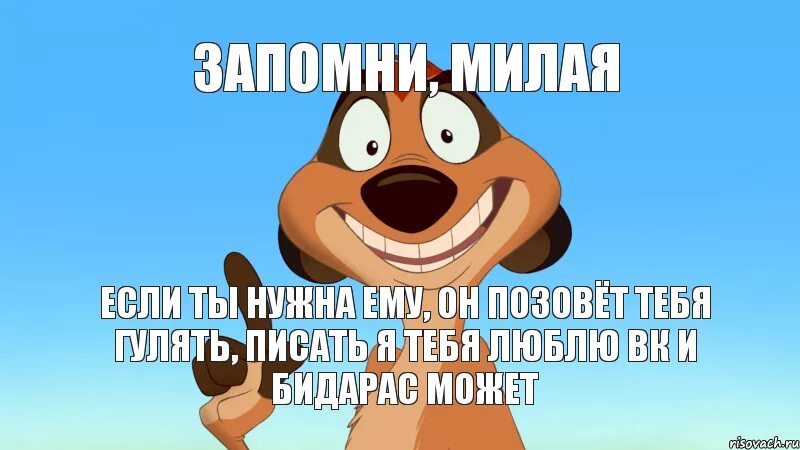 Не обращай внимания писать. Тимон Мем. Когда гулять картинка. Картинка что то пиши. Когда будем гулять.