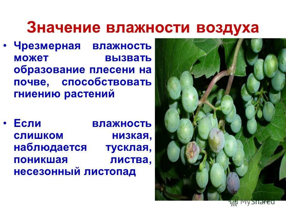 33 значение