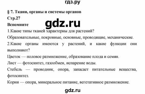 Решение по биологии 7