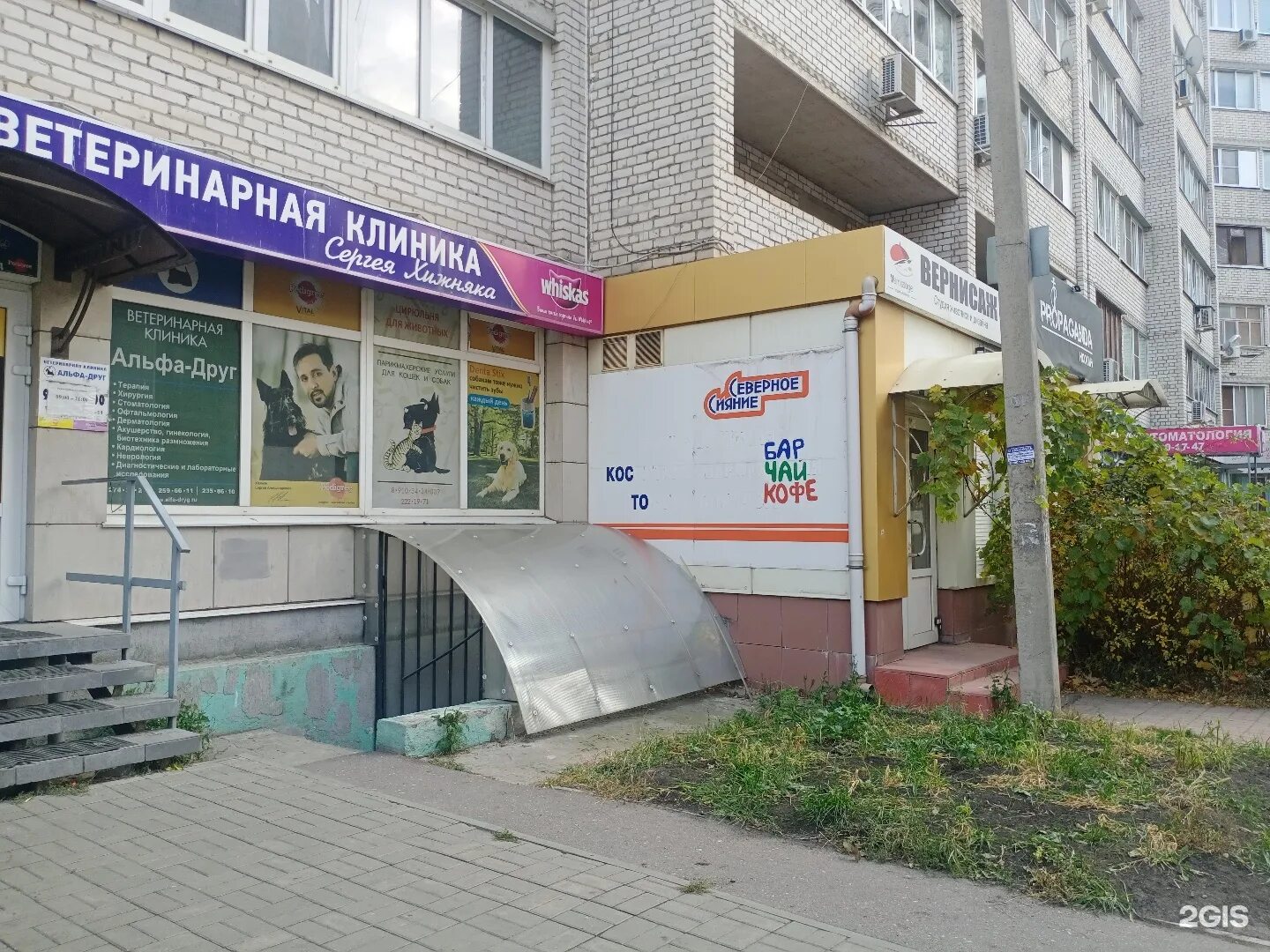 Альфа друг воронеж. Альфа друг. Альфа друг воронеж. Альфа друг воронеж. Альфа друг.