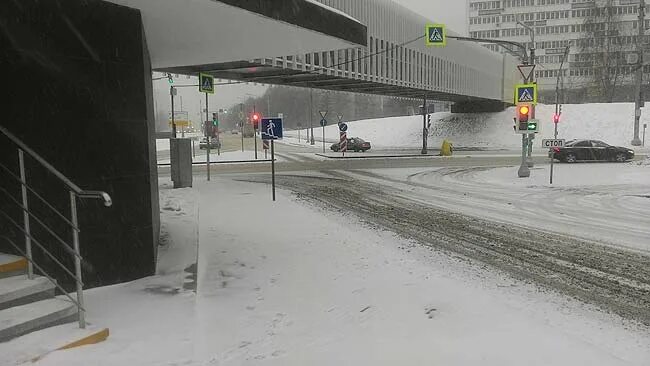 Мост через Савелкинский проезд.