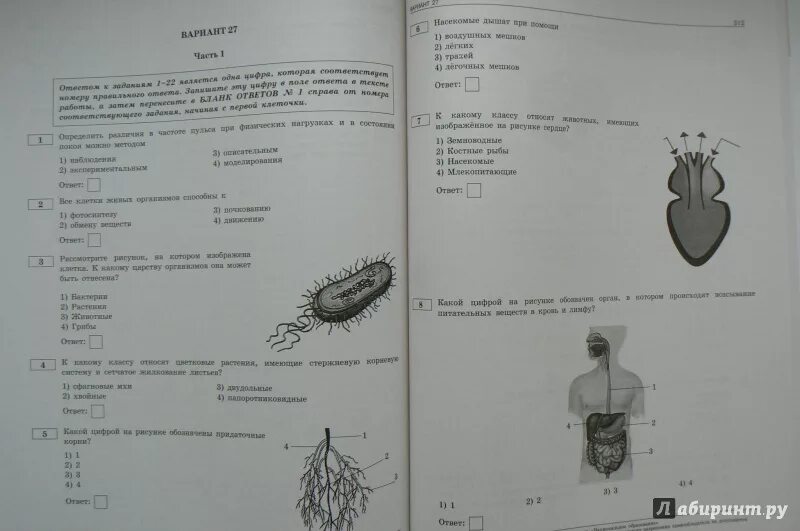 ОГЭ по биологии 9 Рохлов вариант 2. ЕГЭ по биологии задания. Биология (ЕГЭ). ОГЭ по биологии Рохлова. Решу огэ биология 9 класс вариант