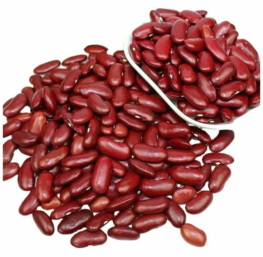 фасоль сушеная. сухие семена. фасоль сухая. фасоль сухая. 750гр карачиха.