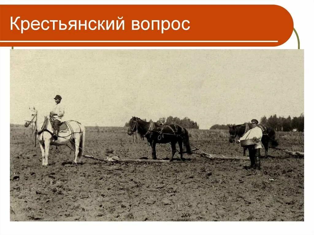 Крестьянским вопросом занимался