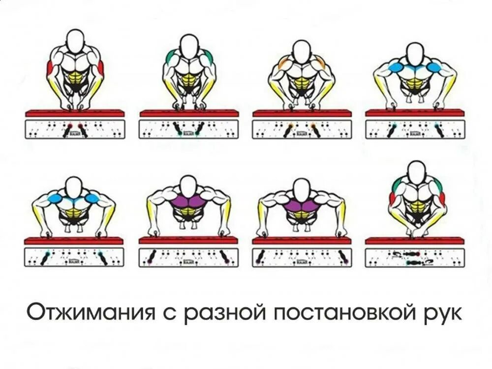 Упражнения с упорами для отжиманий для мужчин. Упражнения с упорами для отжиманий для груди. Doskort / упоры для отжиманий. Отжимания узким хватом схема. Отжимания для грудных мужчин